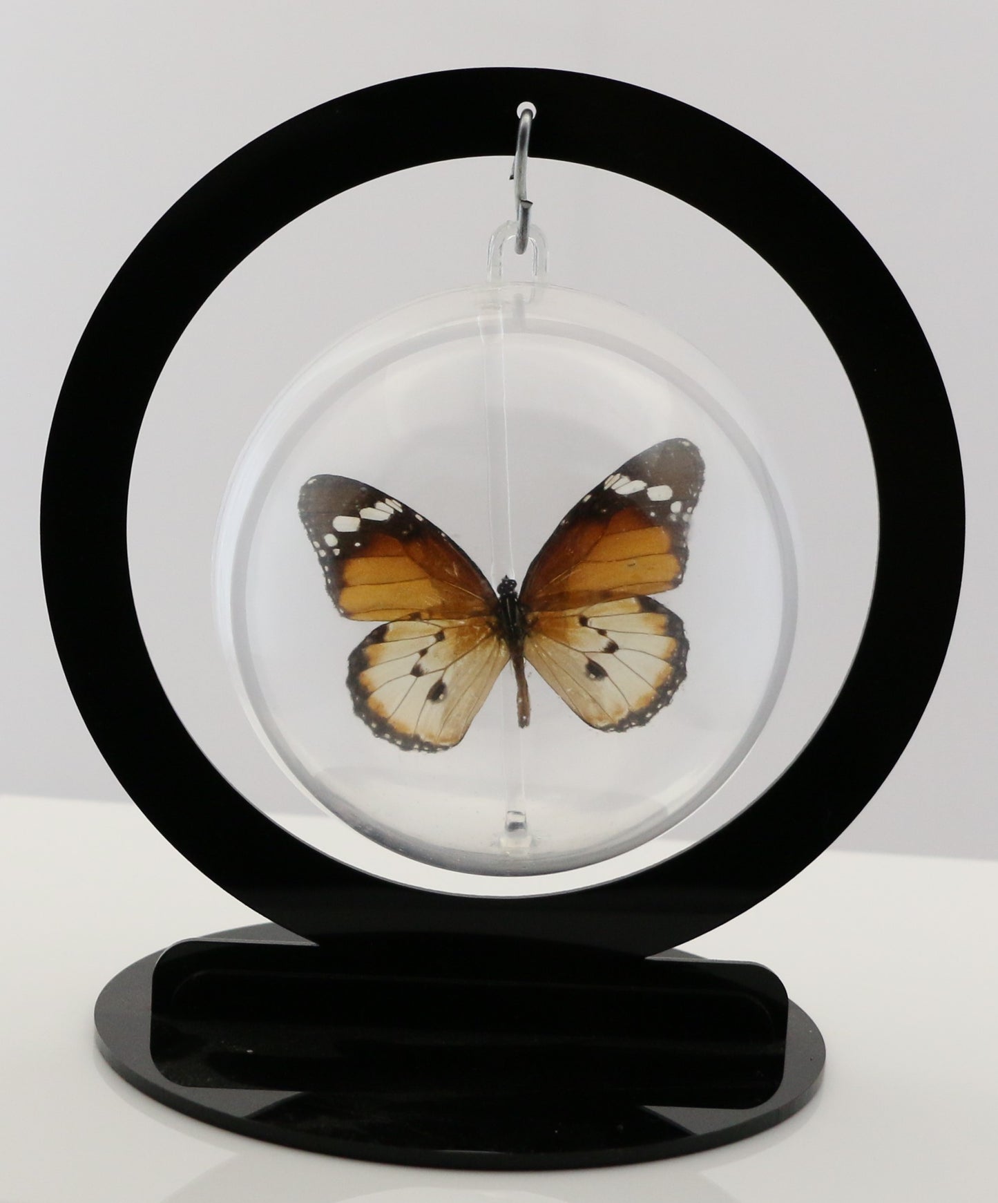 750201 - Butterfly Bubbles - Med. - Round - Plain Tiger Butterfly