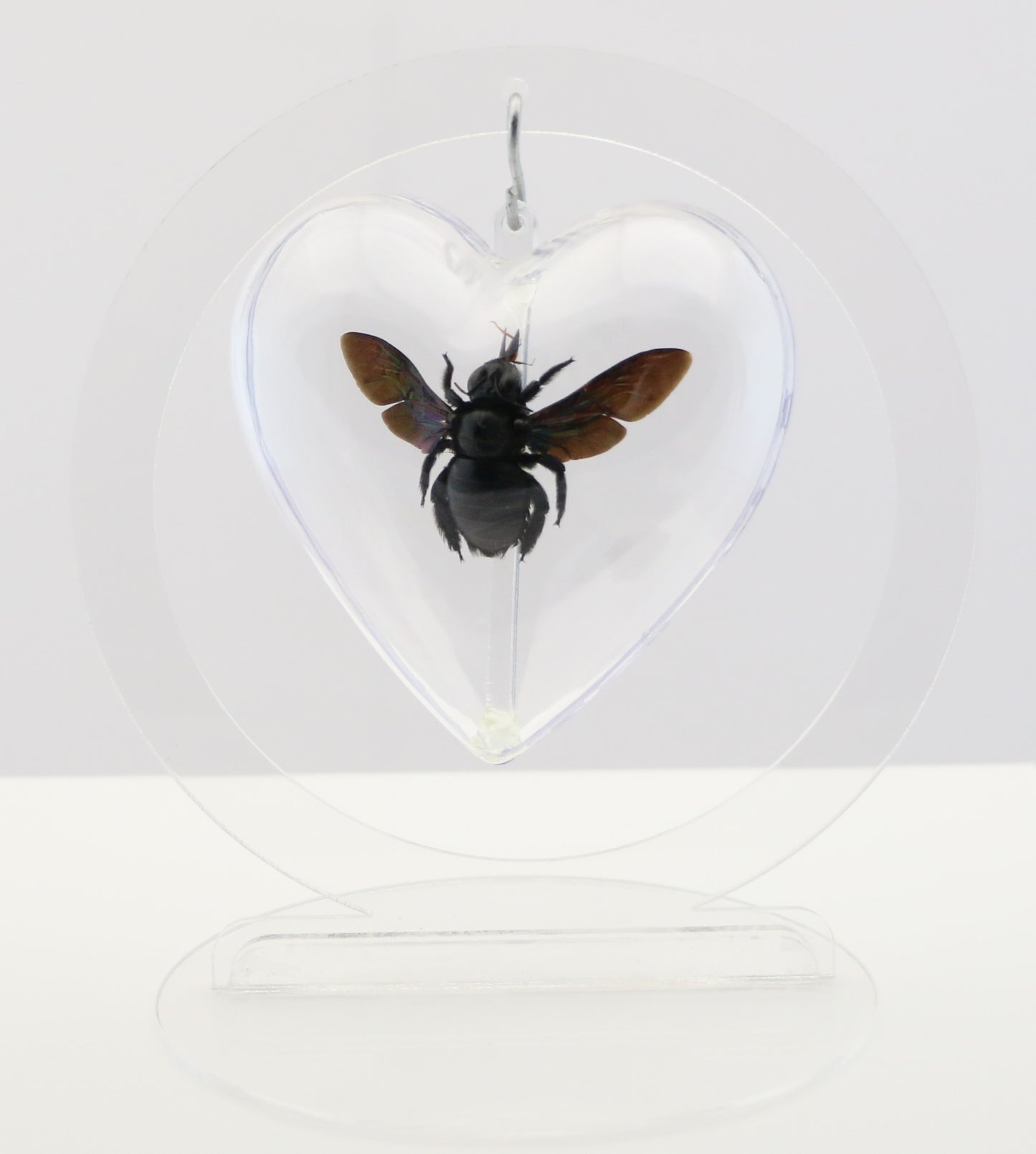 750860 - Butterfly Bubble - Med. - Heart Shape- Tropical Carpenter Bee