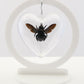 750860 - Butterfly Bubble - Med. - Heart Shape- Tropical Carpenter Bee