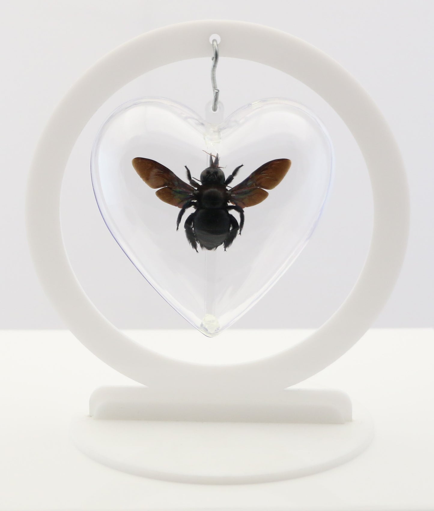 750860 - Butterfly Bubble - Med. - Heart Shape- Tropical Carpenter Bee