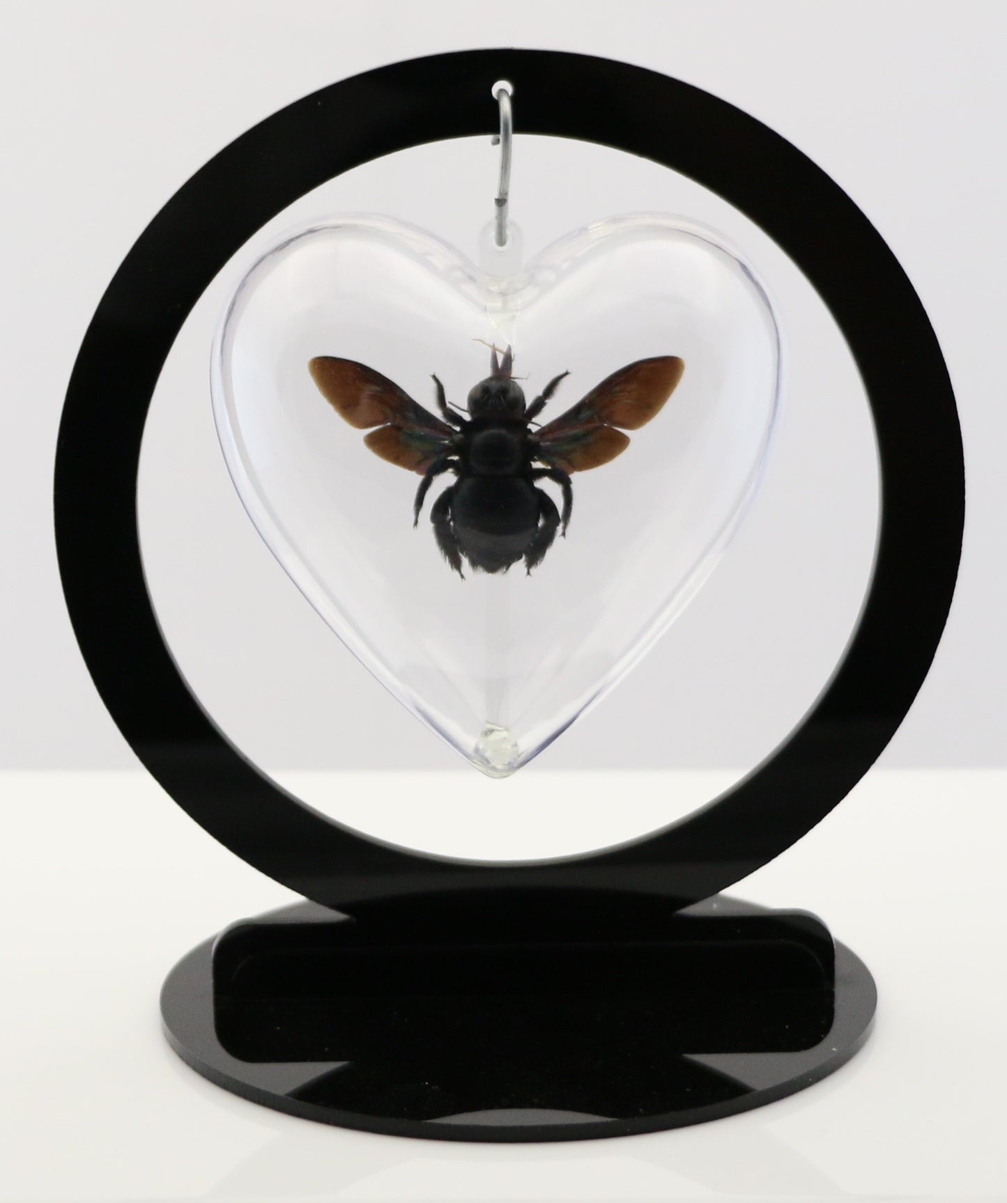 750860 - Butterfly Bubble - Med. - Heart Shape- Tropical Carpenter Bee