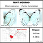 9081601 - Real Butterfly Acrylic Display Box - 8" X 16" - Three Morphos