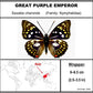750801 - Butterfly Bubble - Med. - Heart Shape - Great Purple Emperor