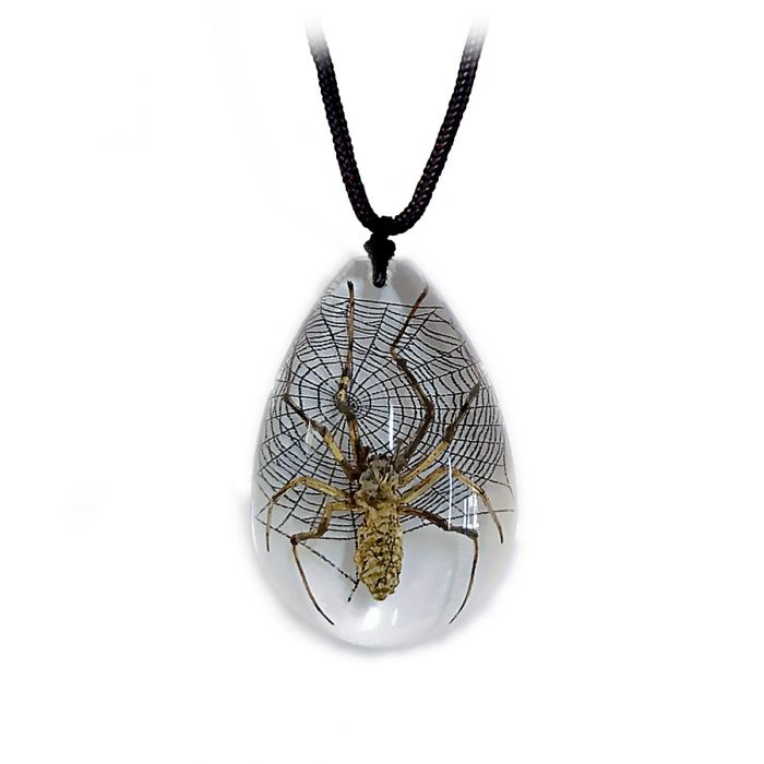 7009SW - Spider w/ Web - Teardrop Shape Necklace