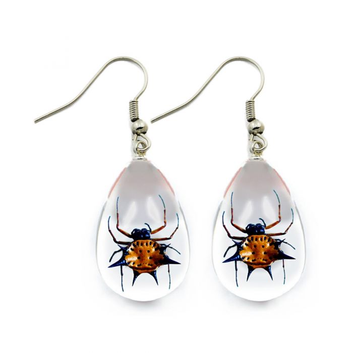 700605 - Real Insect - Earrings - Spiny Spider