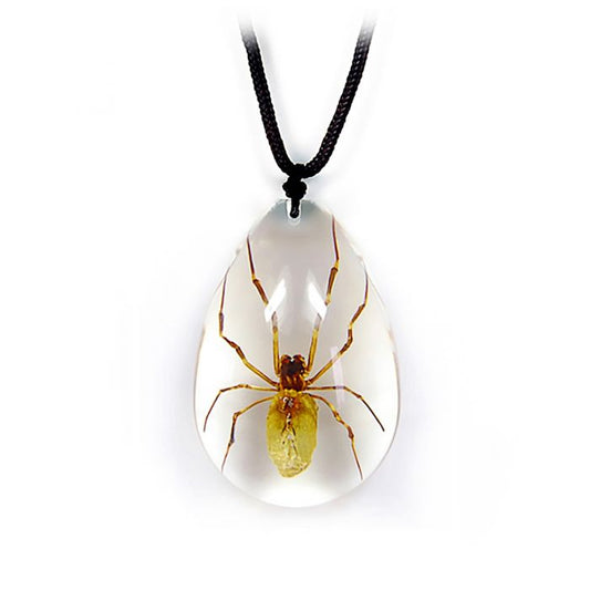 700963A - Real Insect - Necklace - Spider