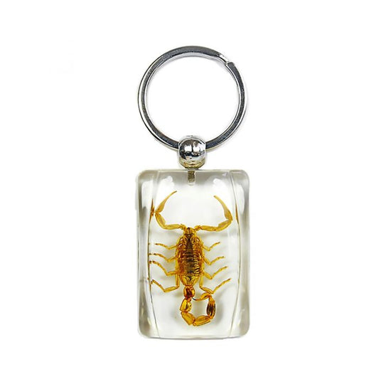 705901 - Real Insect - Keychain - Brown Scorpion