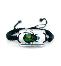 701532 - Real Insect - Bracelet - Rectangular - Rutelian Beetle