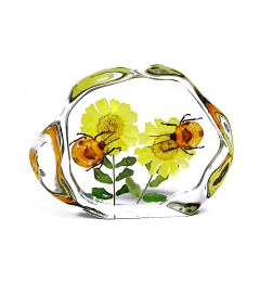 702403 - Real Insect - Desktop Decoration - Flower Bug