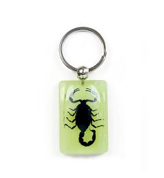 705991 - Real Insect - Keychain - Black Scorpion - Glow in Dark