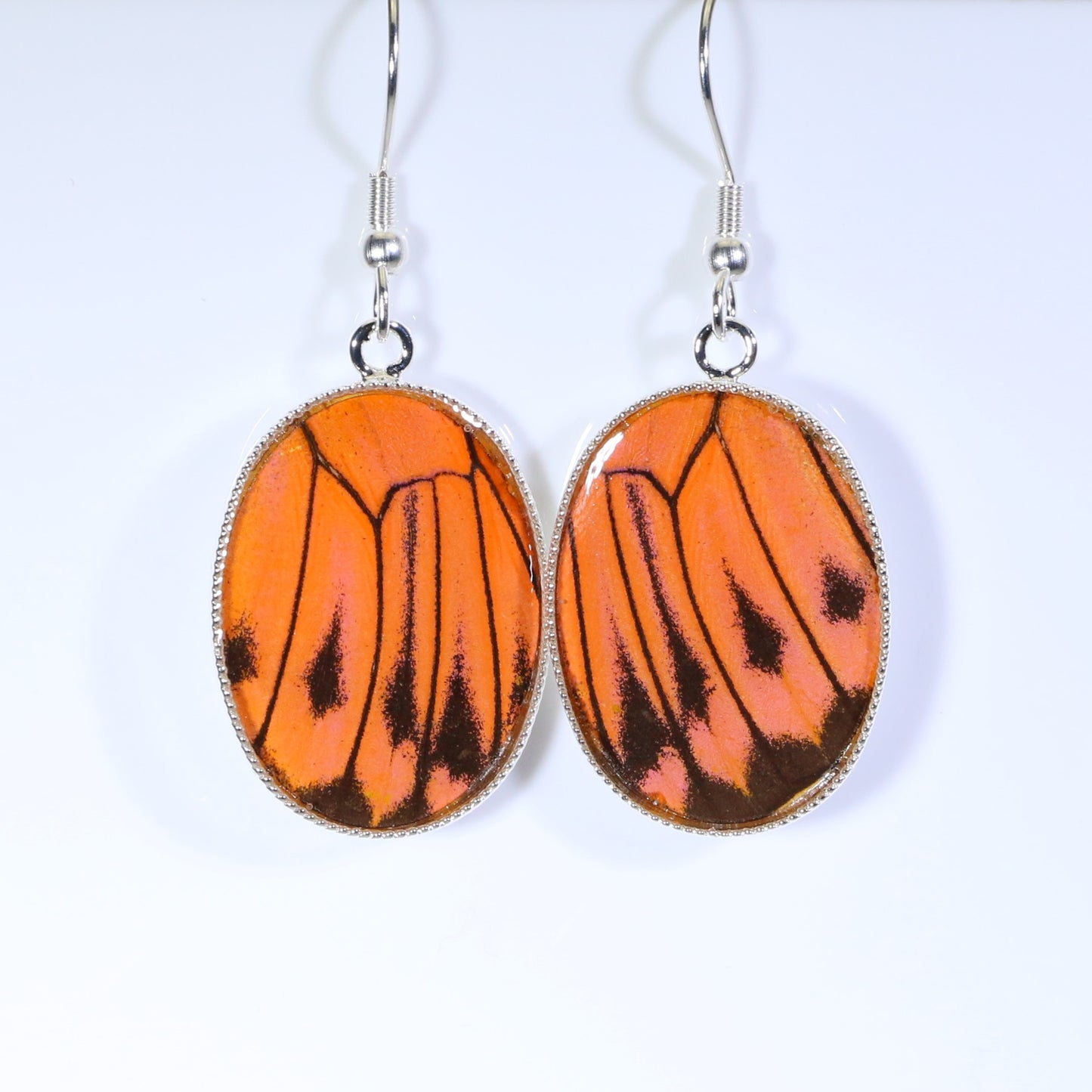 51205 - Real Butterfly Wing Jewelry - Earrings - Medium - Hebomia - Orange