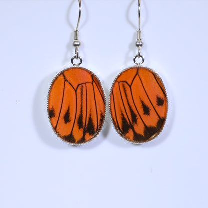 51005 - Real Butterfly Wing Jewelry - Earring Collection - Vibrant Sulphur - Orange