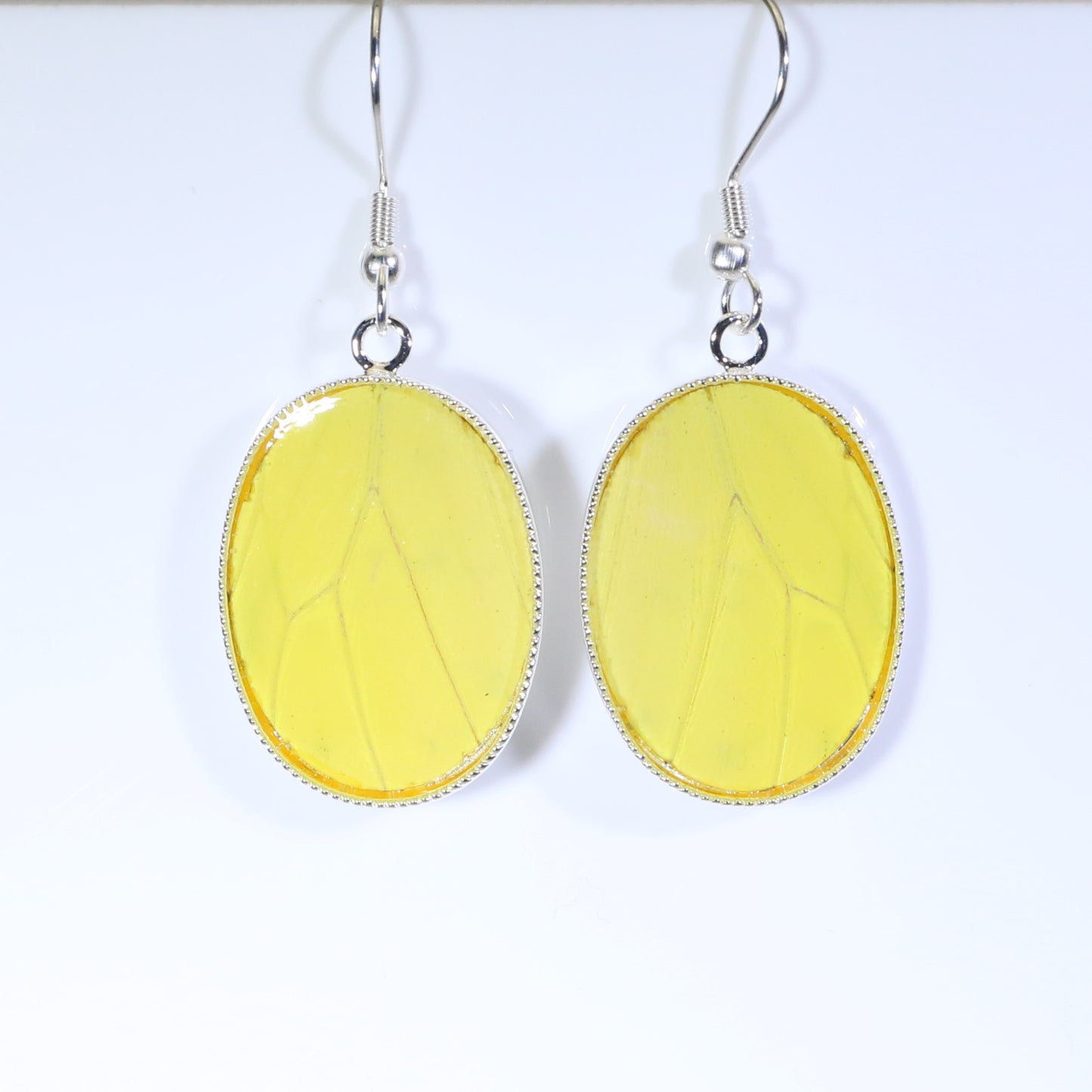 51206 - Real Butterfly Wing Jewelry - Earrings - Medium - Hebomia - Yellow