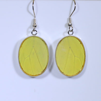 51006 - Real Butterfly Wing Jewelry - Earring Collection - Vibrant Sulphur - Yellow