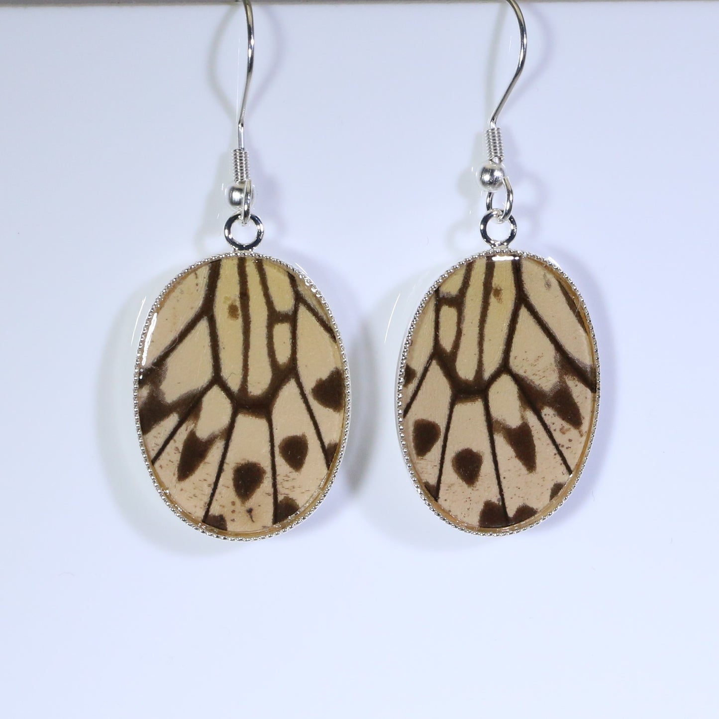 51209 - Real Butterfly Wing Jewelry - Earrings - Medium - Paper Kite