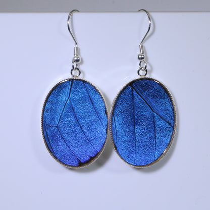 51001 - Real Butterfly Wing Jewelry - Earring Collection - Blue Morpho