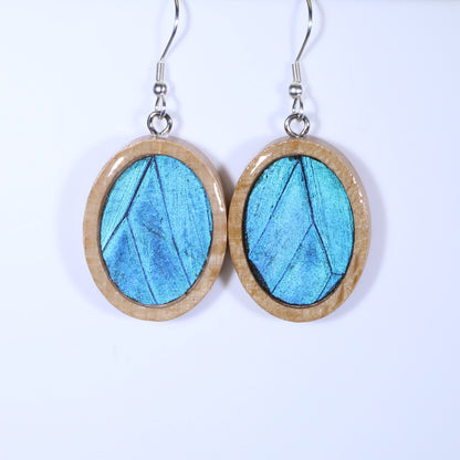 51001 - Real Butterfly Wing Jewelry - Earring Collection - Blue Morpho