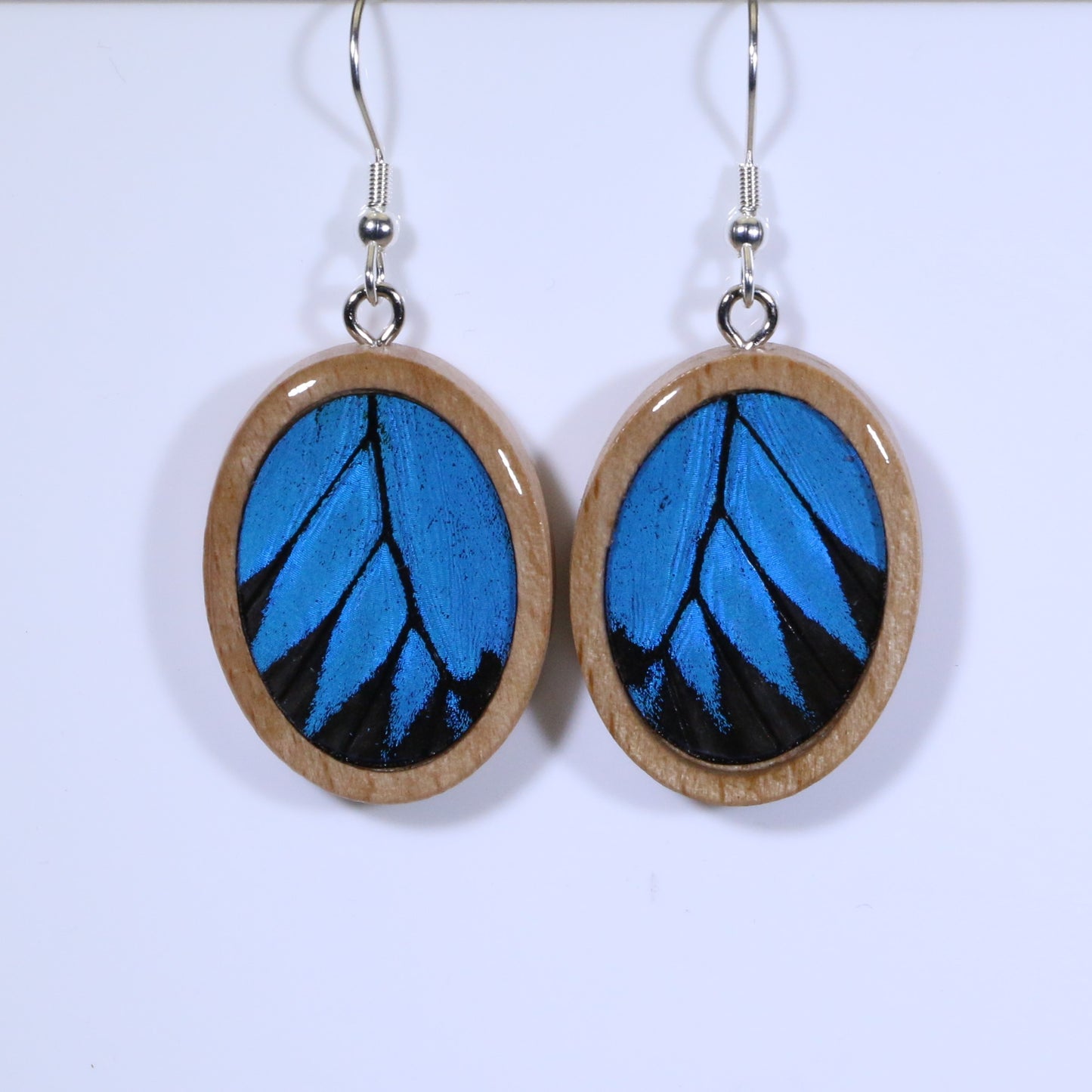 51607 - Real Butterfly Wing Jewelry - Earrings - Medium - Tan Wood - Oval - Plain - Blue Mountain Swallowtail