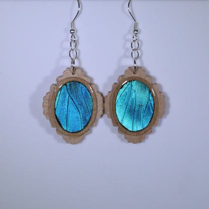 51001 - Real Butterfly Wing Jewelry - Earring Collection - Blue Morpho