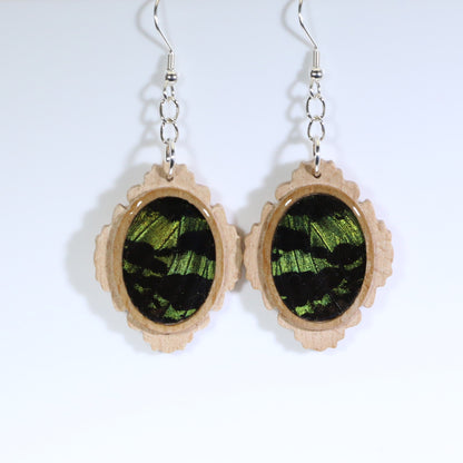 51003 - Real Butterfly Wing Jewelry - Earring Collection - Sunset Moth - Green