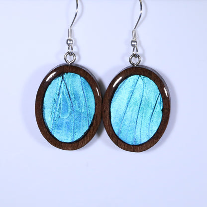 51001 - Real Butterfly Wing Jewelry - Earring Collection - Blue Morpho