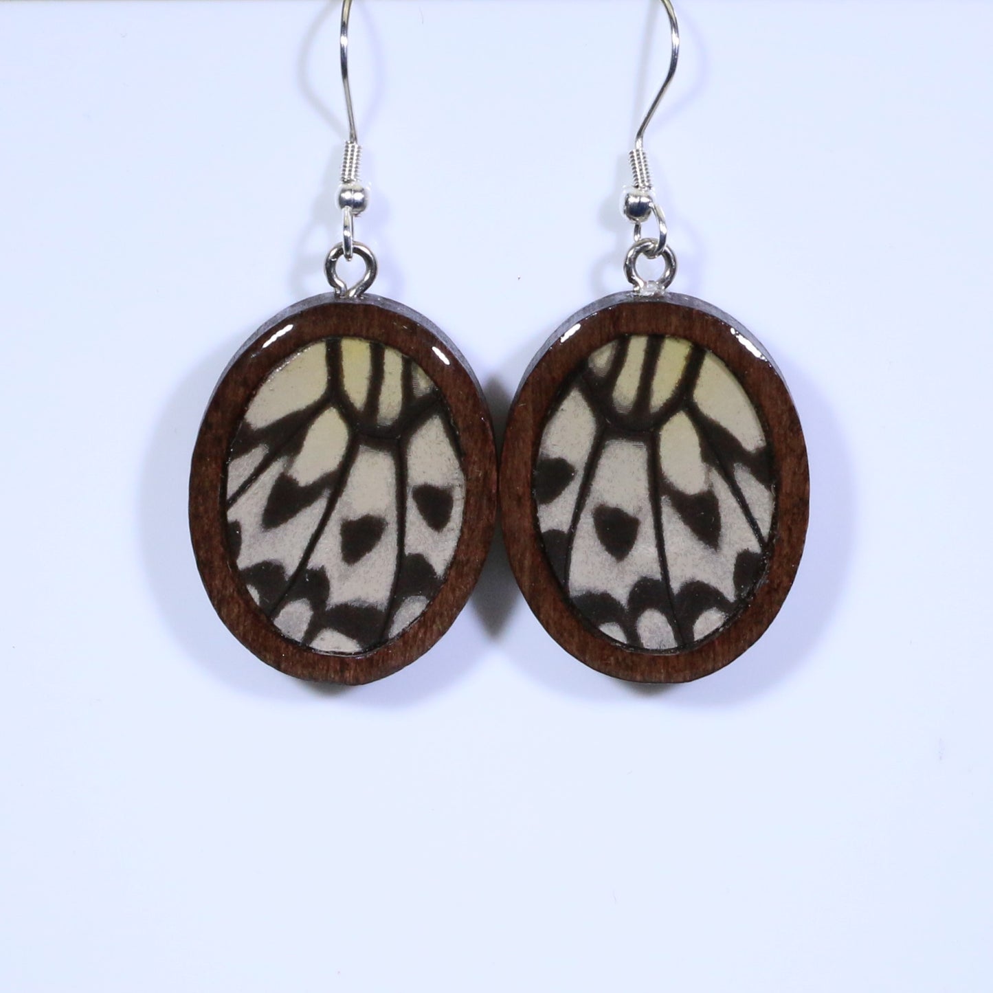 51709 - Real Butterfly Wing Jewelry - Earrings - Medium - Dark Wood - Oval - Plain - Paper Kite