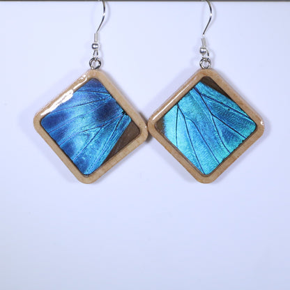 51001 - Real Butterfly Wing Jewelry - Earring Collection - Blue Morpho