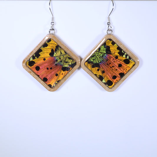 51802 - Real Butterfly Wing Jewelry - Earrings - Large - Tan Wood - Diamond Shape - Sunset Moth - Orange
