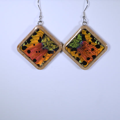 51002 - Real Butterfly Wing Jewelry - Earring Collection - Sunset Moth - Orange