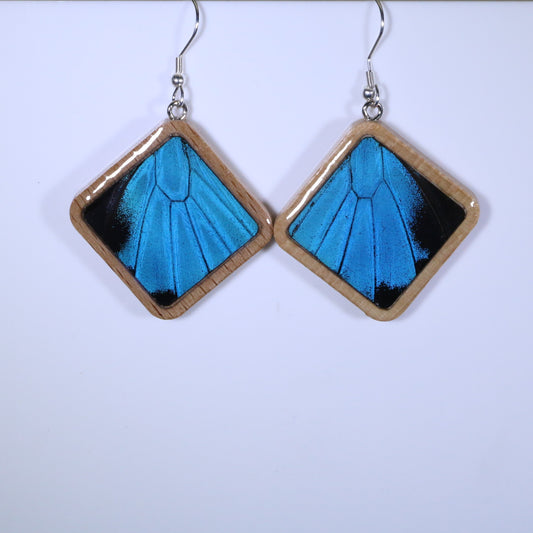 51807 - Real Butterfly Wing Jewelry - Earrings - Large - Tan Wood - Diamond Shape - Blue Mountain Swallowtail