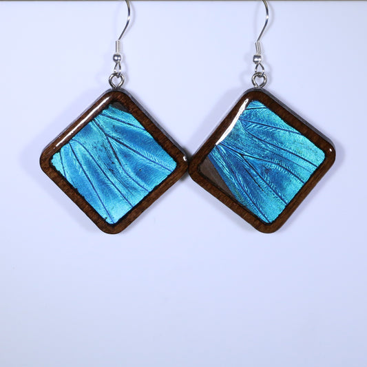51851 - Real Butterfly Wing Jewelry - Earrings - Large - Dark Wood - Diamond Shape - Blue Morpho