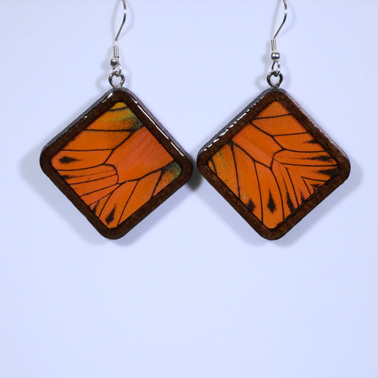 51855 - Real Butterfly Wing Jewelry - Earrings - Large - Dark Wood - Diamond Shape - Hebomia - Orange