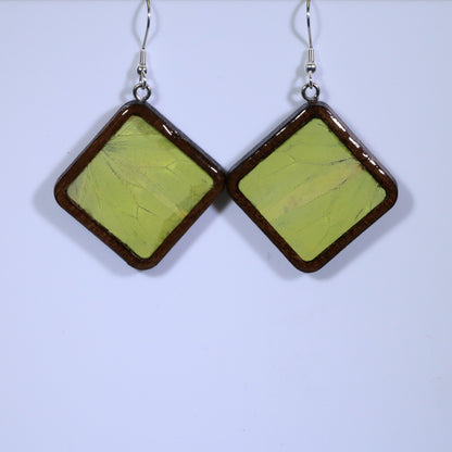 51006 - Real Butterfly Wing Jewelry - Earring Collection - Vibrant Sulphur - Yellow