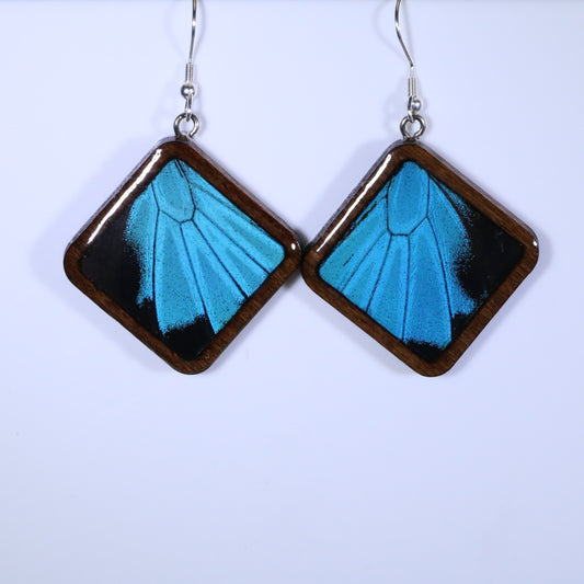 51857 - Real Butterfly Wing Jewelry - Earrings - Large - Dark Wood - Diamond Shape - Blue Mountain Swallowtail