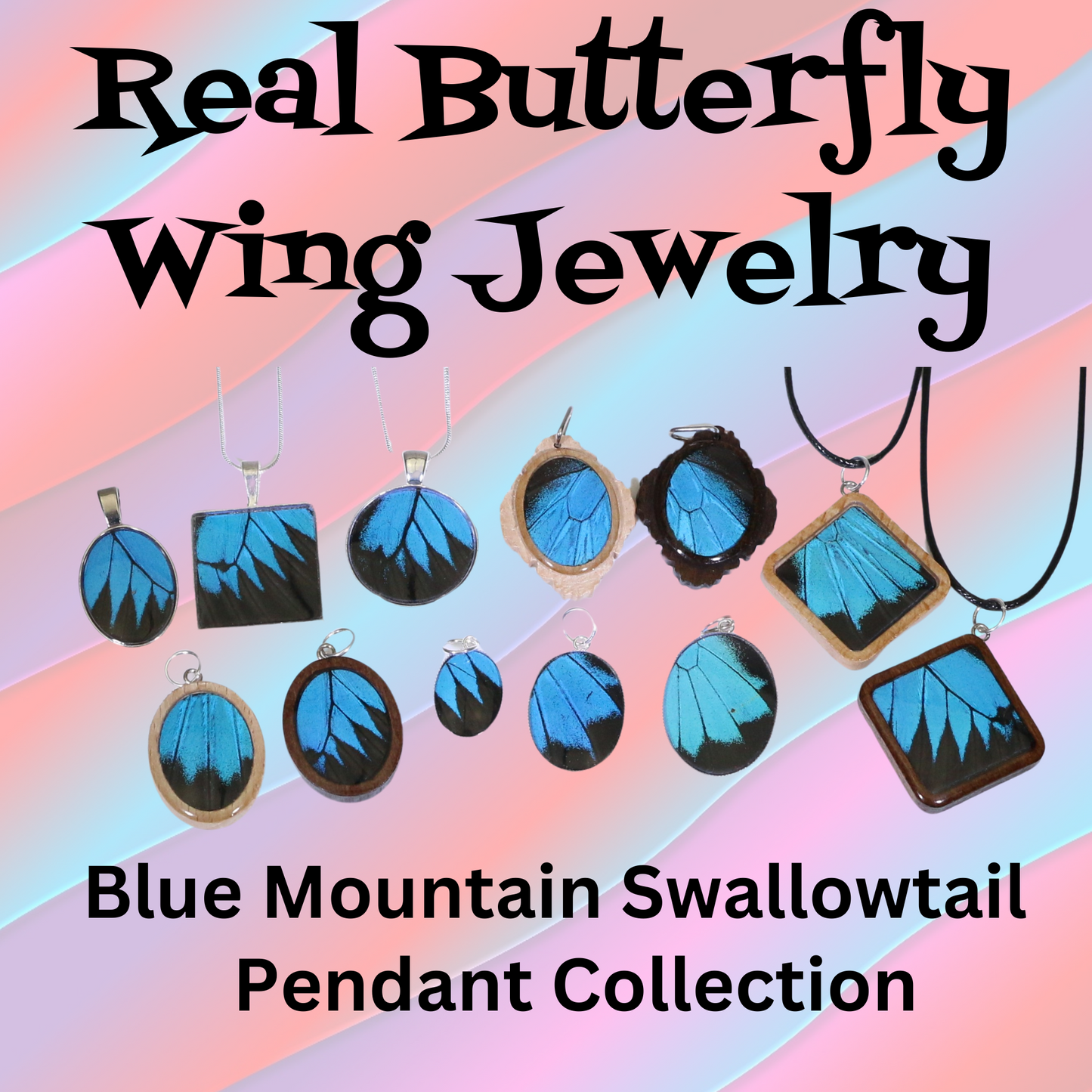 52007 - Real Butterfly Wing Jewelry - Pendant Collection - Blue Mountain Swallowtail