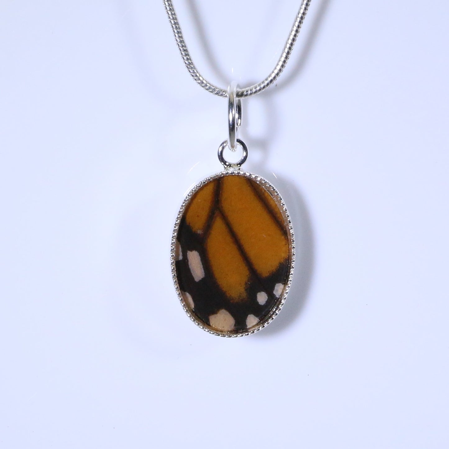 52004 - Real Butterfly Wing Jewelry - Pendant Collection - Monarch Butterfly
