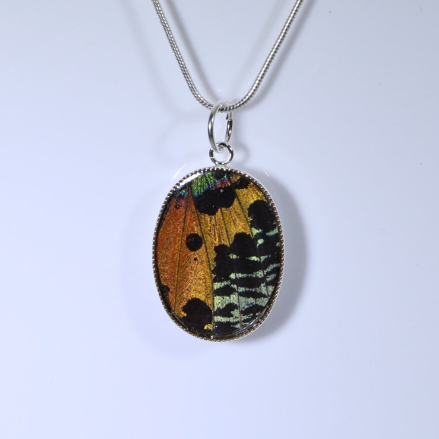 52202 - Real Butterfly Wing Jewelry - Pendant - Medium - Sunset Moth - Orange
