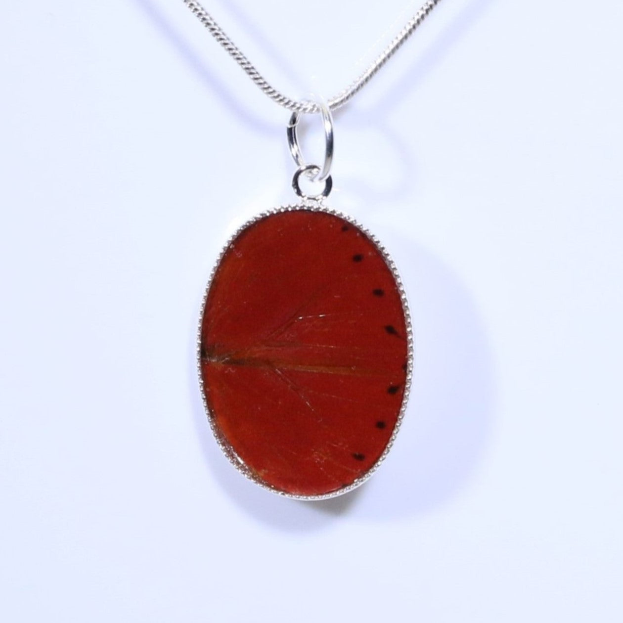 52208 - Real Butterfly Wing Jewelry - Pendant - Medium - Red Glider Butterfly