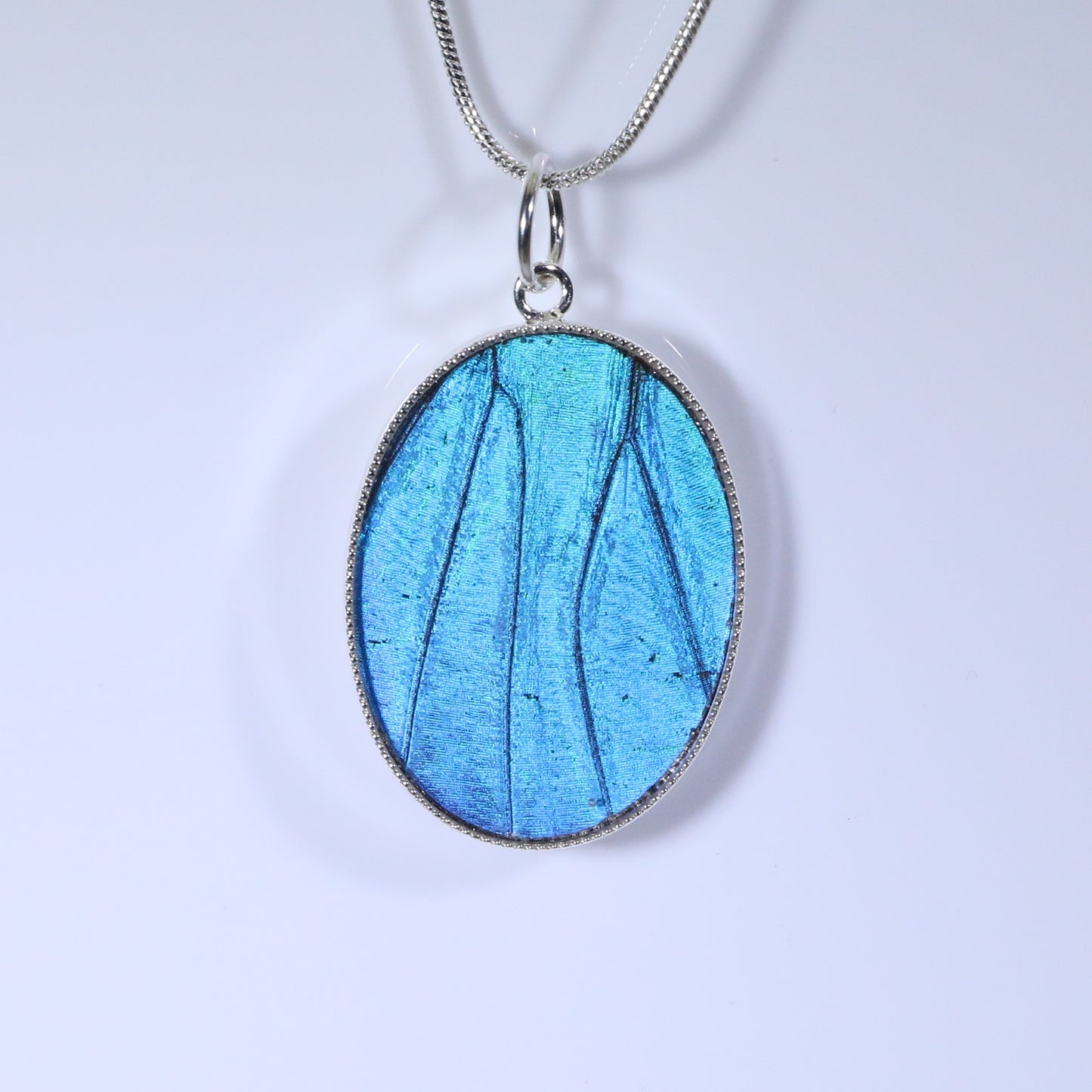 52301 - Real Butterfly Wing Jewelry - Pendant - Large - Blue Morpho