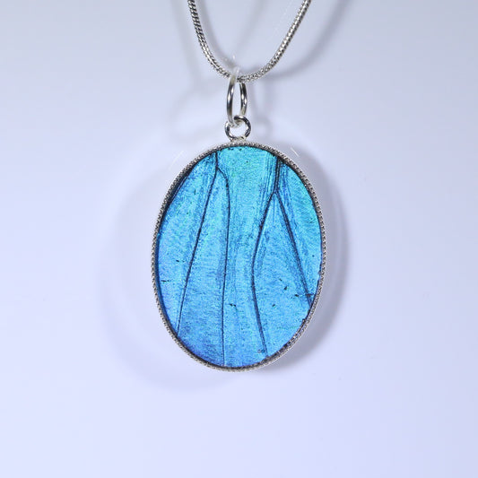 52301 - Real Butterfly Wing Jewelry - Pendant - Large - Blue Morpho
