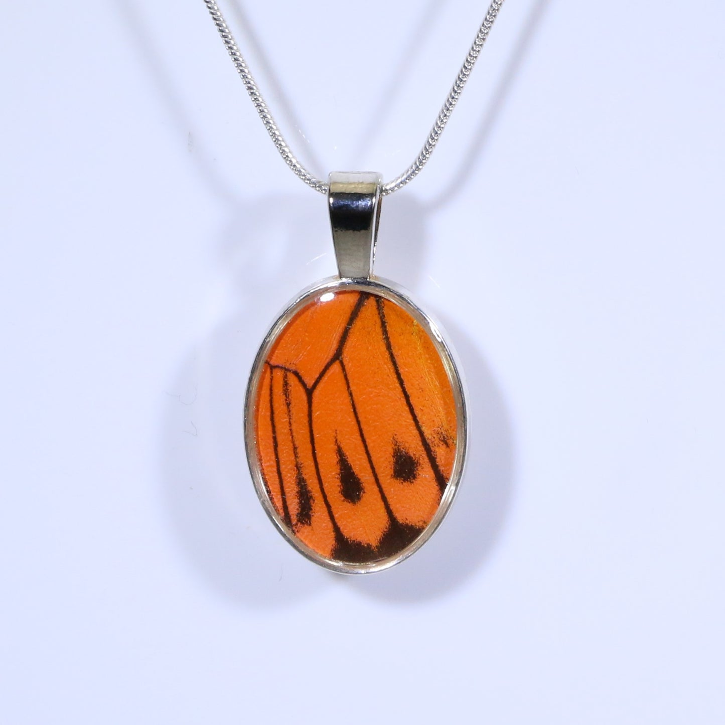 52315 - Real Butterfly Wing Jewelry - Pendant - Large Bale - Oval - Hebomia - Orange