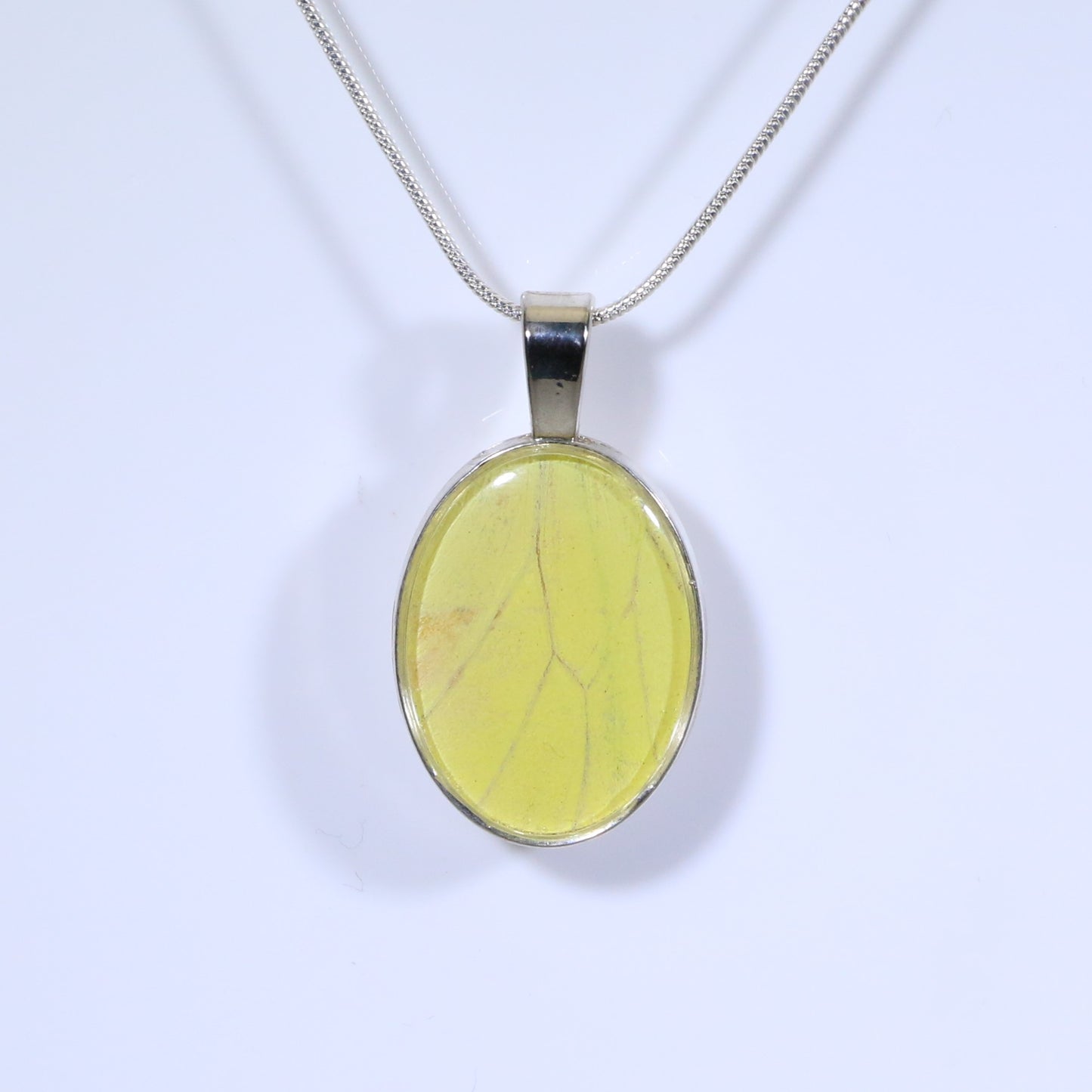 52316 - Real Butterfly Wing Jewelry - Pendant - Large Bale - Oval - Hebomia - Yellow