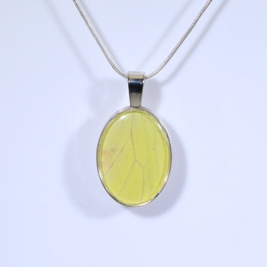 52316 - Real Butterfly Wing Jewelry - Pendant - Large Bale - Oval - Hebomia - Yellow