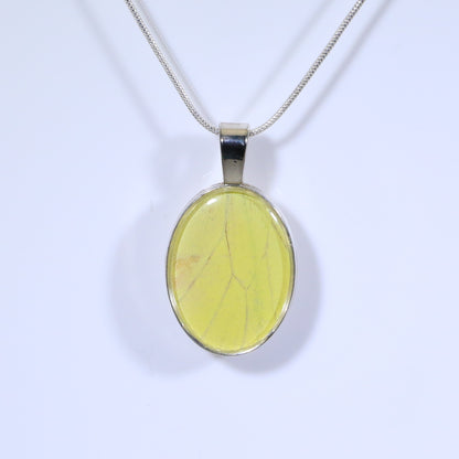 52006 - Real Butterfly Wing Jewelry - Pendant Collection - Vibrant Sulphur Butterfly - Yellow