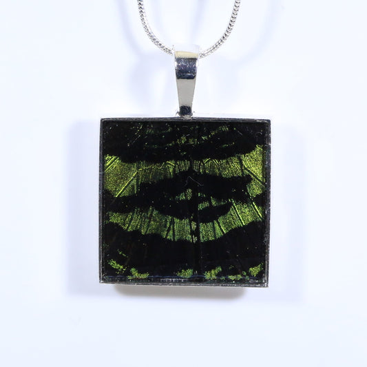 52323 - Real Butterfly Wing Jewelry - Pendant - Large Bale - Square - Sunset Moth - Green