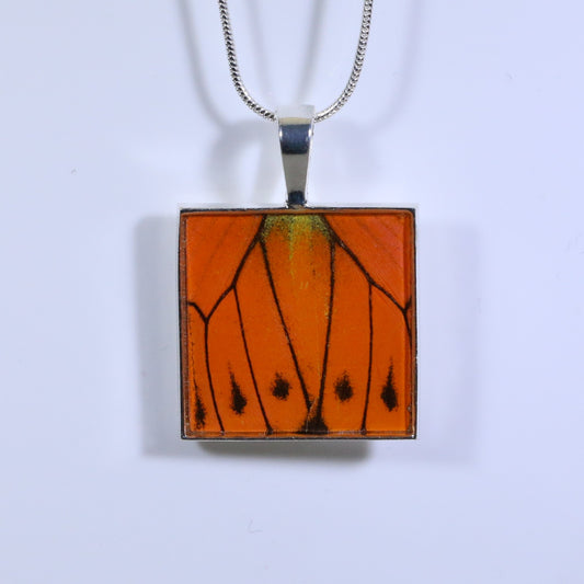 52325 - Real Butterfly Wing Jewelry - Pendant - Large Bale - Square - Hebomia - Orange