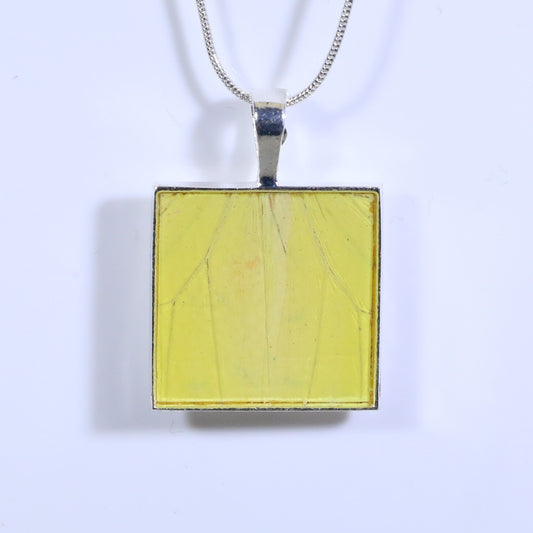 52326 - Real Butterfly Wing Jewelry - Pendant - Large Bale - Square - Hebomia - Yellow