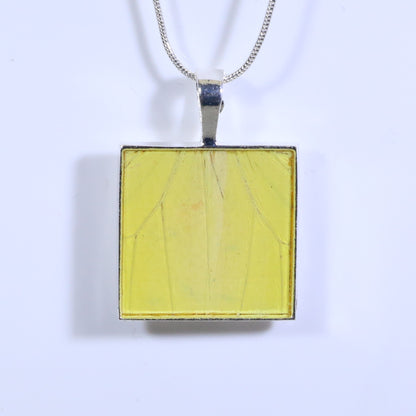 52006 - Real Butterfly Wing Jewelry - Pendant Collection - Vibrant Sulphur Butterfly - Yellow