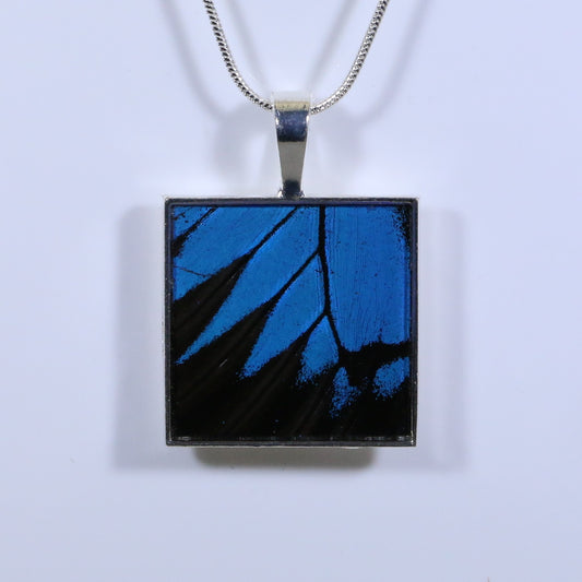52327 - Real Butterfly Wing Jewelry - Pendant - Large Bale - Square - Blue Mountain Swallowtail