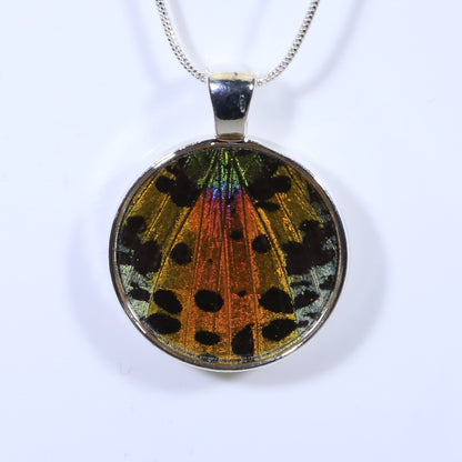 52002 - Real Butterfly Wing Jewelry - Pendant Collection - Sunset Moth - Orange